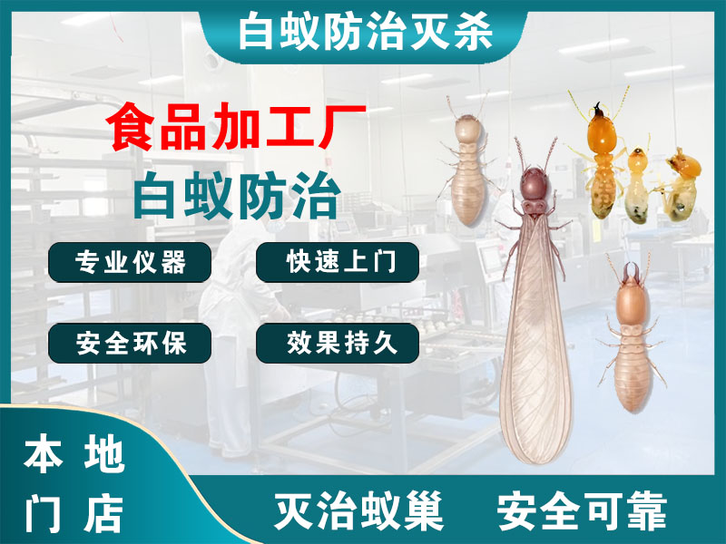 宝山区食品加工厂白蚁防治