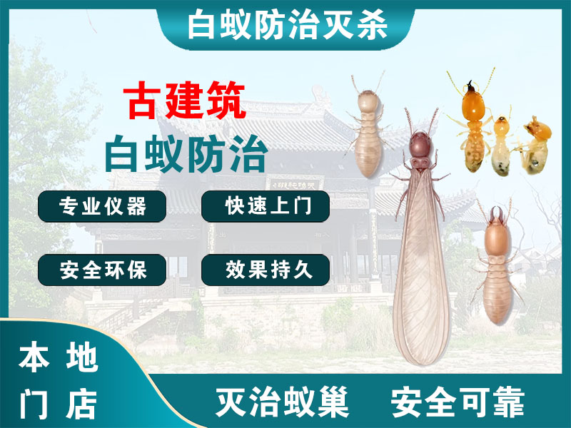 宝山区古建筑白蚁防治