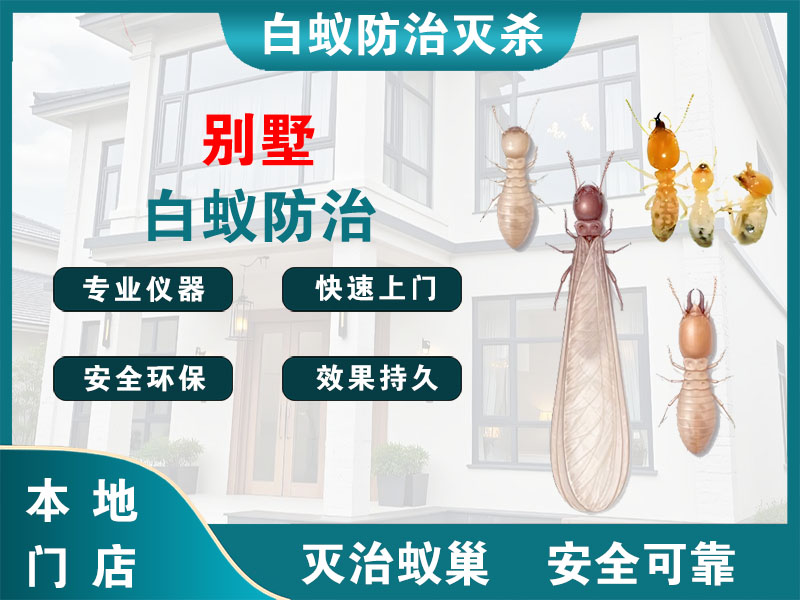 宝山区别墅白蚁防治