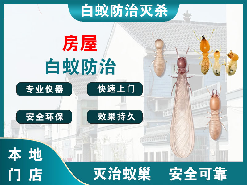 宝山区房屋白蚁防治